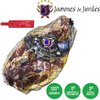 Boneless Iberian Bellota Ham JAMONES DE JUVILES