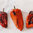 ROASTED PEPPERS WITH GARLIC IBSA 295 GR